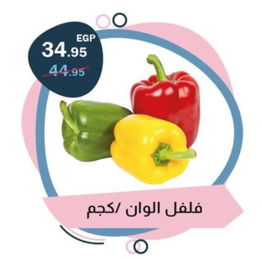 available at Flamingo Hyper Market in Egypt - Cairo