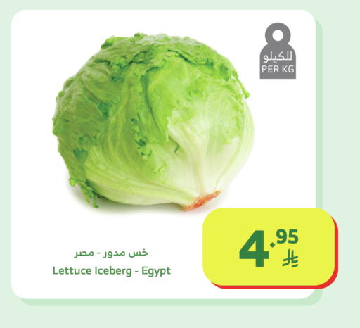Lettuce from Egypt available at Al Raya in KSA, Saudi Arabia, Saudi - Al Qunfudhah