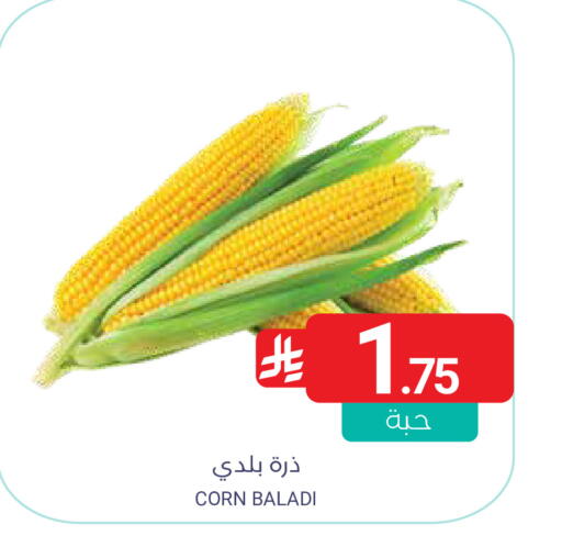 available at Muntazah Markets in KSA, Saudi Arabia, Saudi - Qatif