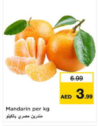 Mandarin available at نستو هايبرماركت in الإمارات العربية المتحدة , الامارات - ٱلْفُجَيْرَة‎