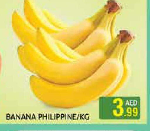 Banana from Philippines available at هايبرماركت النخيل محيصنة in الإمارات العربية المتحدة , الامارات - دبي