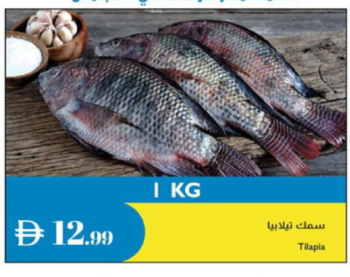 available at إسطنبول سوبرماركت in الإمارات العربية المتحدة , الامارات - أبو ظبي