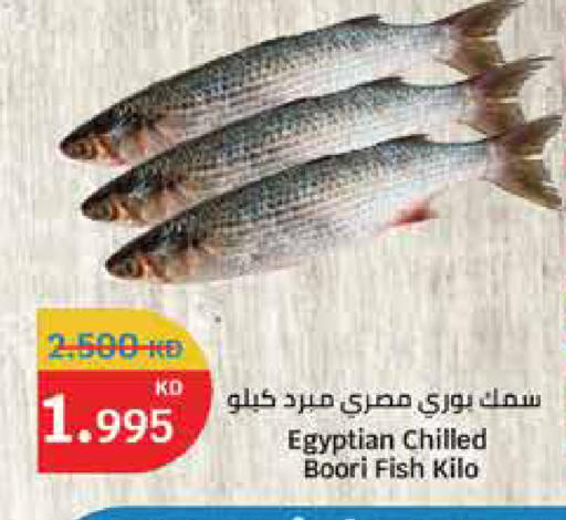 available at City Hypermarket in Kuwait - Ahmadi Governorate