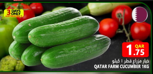 Cucumber from Qatar available at Food Palace Hypermarket in Qatar - Umm Salal