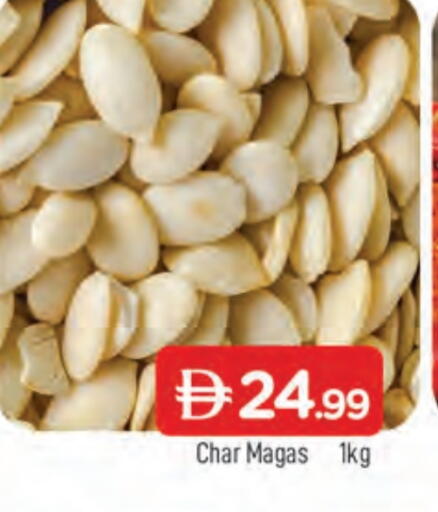 available at المدينة in الإمارات العربية المتحدة , الامارات - الشارقة / عجمان