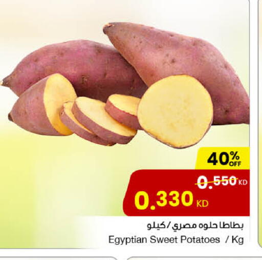 Sweet Potato from Egypt available at The Sultan Center in Kuwait - Ahmadi Governorate