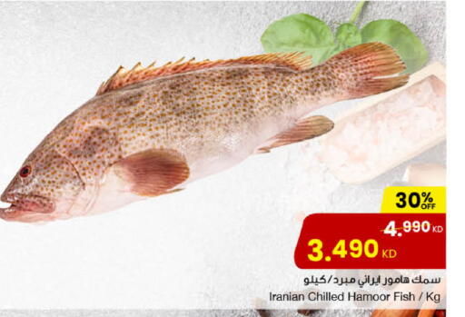 available at The Sultan Center in Kuwait - Ahmadi Governorate