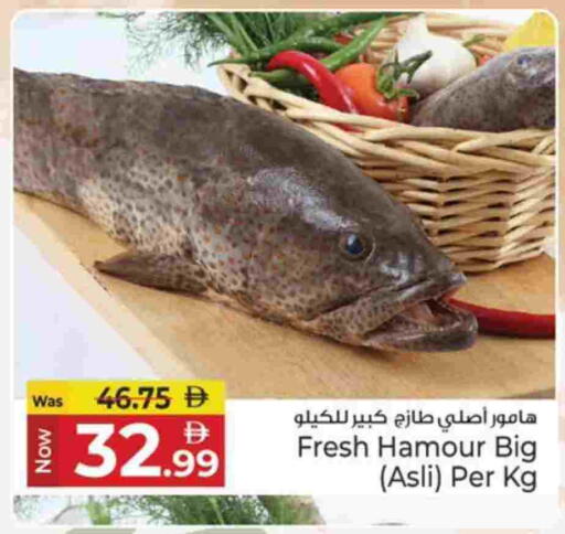 available at كنز هايبرماركت in الإمارات العربية المتحدة , الامارات - الشارقة / عجمان