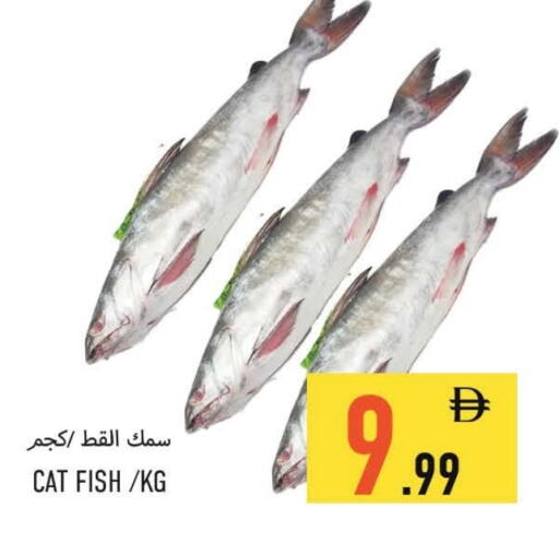 available at  روابي ماركت عجمان in الإمارات العربية المتحدة , الامارات - الشارقة / عجمان