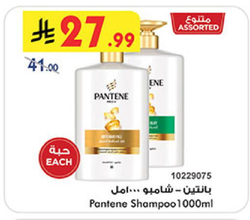 بنتين شامبو / بلسم available at بن داود in مملكة العربية السعودية, السعودية, سعودية - المدينة المنورة