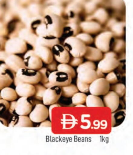 available at المدينة in الإمارات العربية المتحدة , الامارات - الشارقة / عجمان