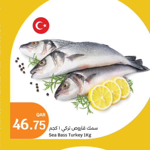 available at City Hypermarket in Qatar - Al-Shahaniya