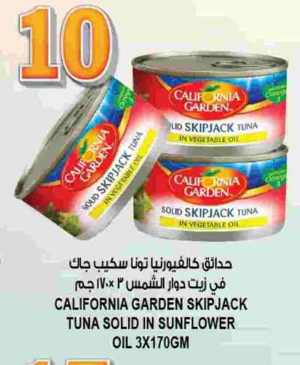 كاليفورنيا جاردن تونة - معلب available at هاشم هايبرماركت in الإمارات العربية المتحدة , الامارات - الشارقة / عجمان