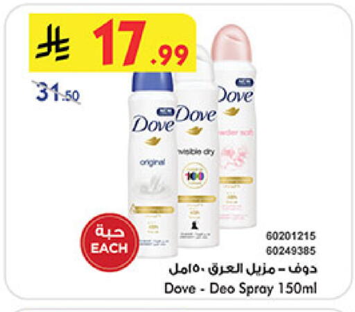 دوف available at بن داود in مملكة العربية السعودية, السعودية, سعودية - المدينة المنورة