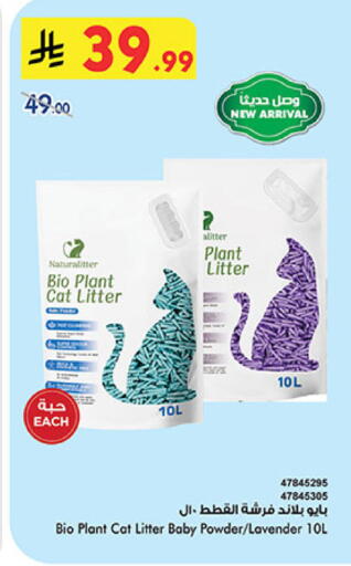 available at Bin Dawood in KSA, Saudi Arabia, Saudi - Khamis Mushait