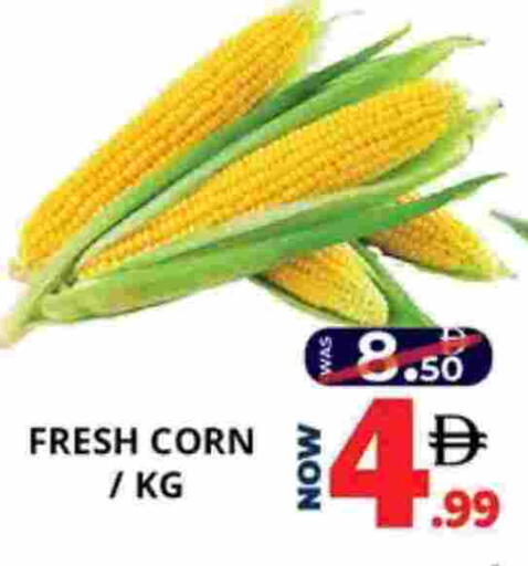 available at اكسبرس المدينة هايبرماركت in الإمارات العربية المتحدة , الامارات - أبو ظبي