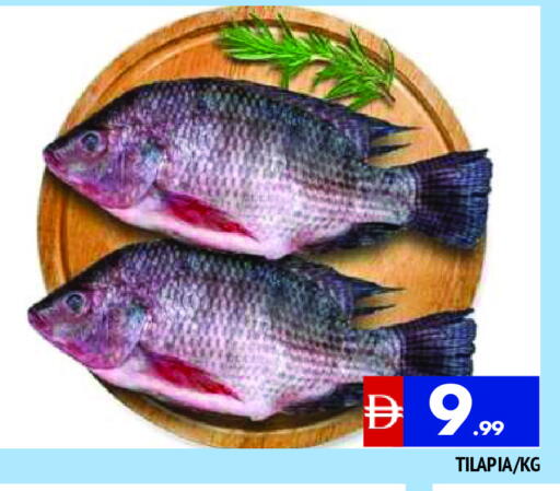 available at المدينة in الإمارات العربية المتحدة , الامارات - الشارقة / عجمان