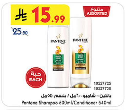 بنتين شامبو / بلسم available at بن داود in مملكة العربية السعودية, السعودية, سعودية - المدينة المنورة