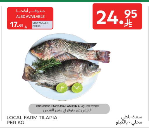 available at كارفور in مملكة العربية السعودية, السعودية, سعودية - المدينة المنورة