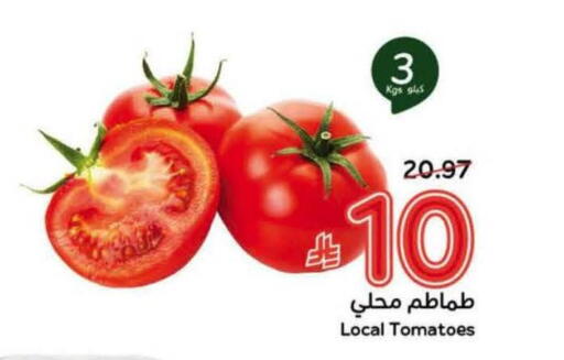 Tomato available at Hyper Panda in KSA, Saudi Arabia, Saudi - Jeddah