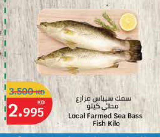 available at City Hypermarket in Kuwait - Ahmadi Governorate