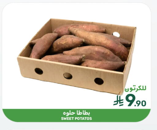 Sweet Potato available at Mazaya in KSA, Saudi Arabia, Saudi - Qatif