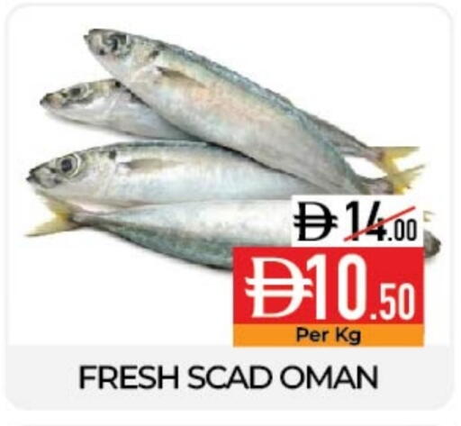 available at ديلايس سوبرماركت in الإمارات العربية المتحدة , الامارات - أبو ظبي