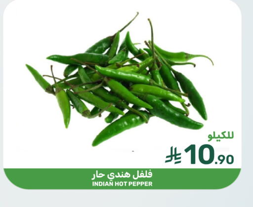 Chilli / Capsicum from India available at Mazaya in KSA, Saudi Arabia, Saudi - Qatif