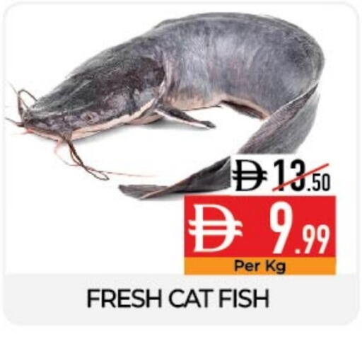 available at ديلايس سوبرماركت in الإمارات العربية المتحدة , الامارات - أبو ظبي