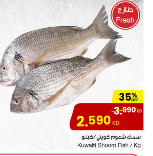 available at The Sultan Center in Kuwait - Ahmadi Governorate