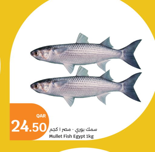 available at City Hypermarket in Qatar - Doha