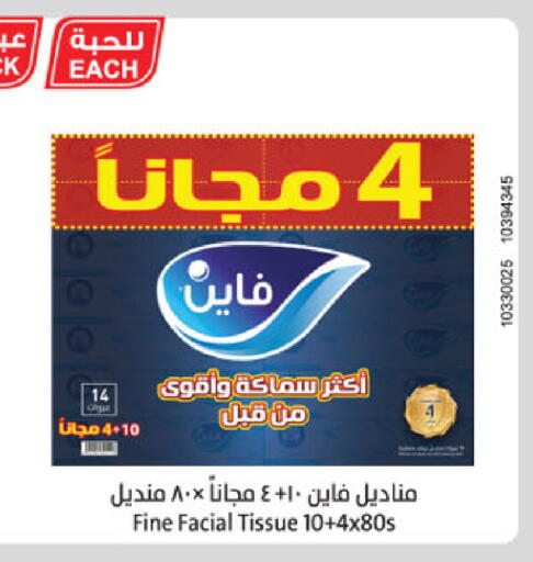 FINE available at Danube in KSA, Saudi Arabia, Saudi - Tabuk