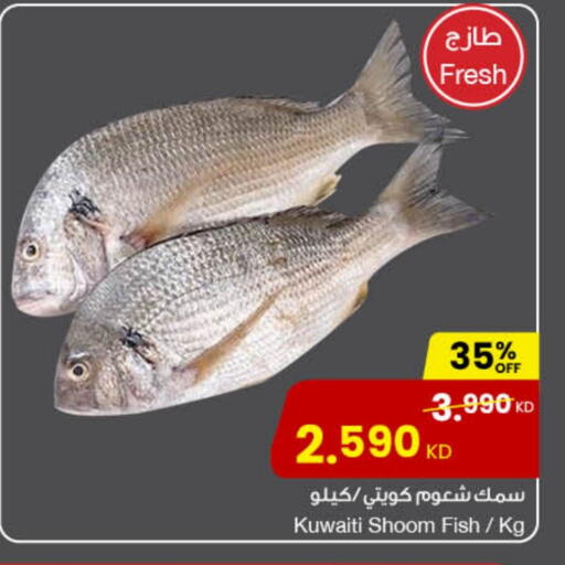 available at The Sultan Center in Kuwait - Ahmadi Governorate