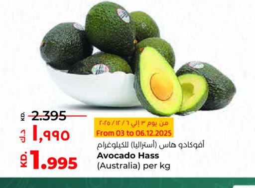 Avacado from Australia available at Lulu Hypermarket  in Kuwait - Ahmadi Governorate