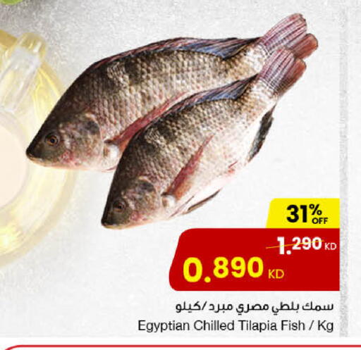 available at The Sultan Center in Kuwait - Ahmadi Governorate