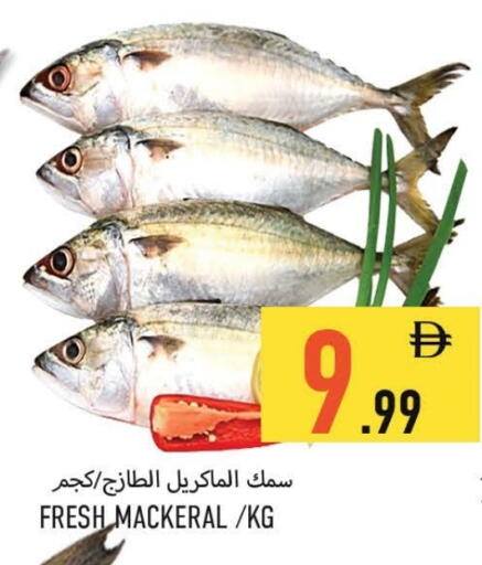 available at  روابي ماركت عجمان in الإمارات العربية المتحدة , الامارات - الشارقة / عجمان