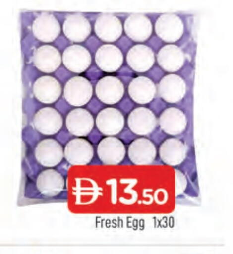 available at المدينة in الإمارات العربية المتحدة , الامارات - الشارقة / عجمان