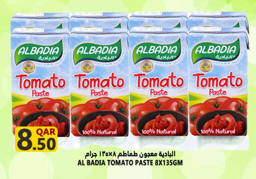 معجون طماطم available at قصر الأغذية هايبرماركت in قطر - الوكرة