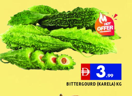 قرع مر available at المدينة in الإمارات العربية المتحدة , الامارات - الشارقة / عجمان