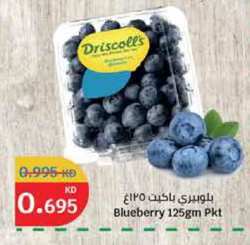 Blueberry BlueBerry available at City Hypermarket in Kuwait - Ahmadi Governorate