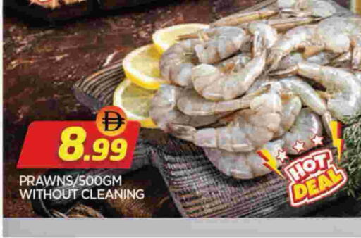 available at المدينة in الإمارات العربية المتحدة , الامارات - الشارقة / عجمان