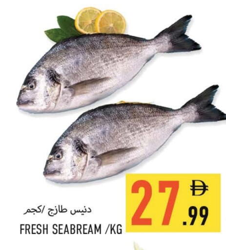 available at  روابي ماركت عجمان in الإمارات العربية المتحدة , الامارات - الشارقة / عجمان