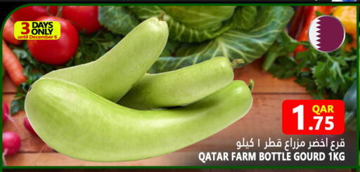 Gourd from Qatar available at Food Palace Hypermarket in Qatar - Doha