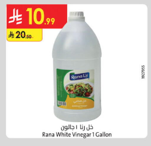 خل available at الدانوب in مملكة العربية السعودية, السعودية, سعودية - المدينة المنورة