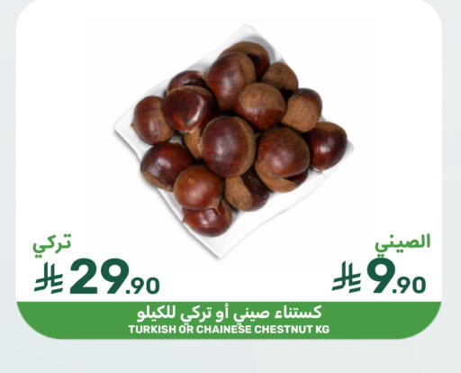 available at Mazaya in KSA, Saudi Arabia, Saudi - Qatif