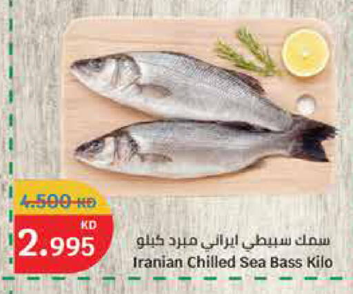 available at City Hypermarket in Kuwait - Ahmadi Governorate