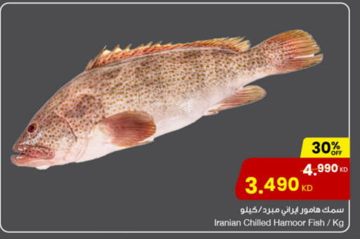 available at The Sultan Center in Kuwait - Ahmadi Governorate