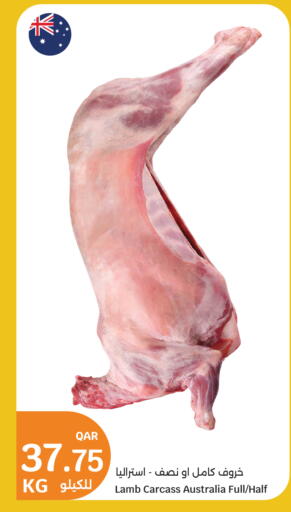Mutton / Lamb available at City Hypermarket in Qatar - Al Shamal