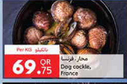 available at كارفور in قطر - الريان