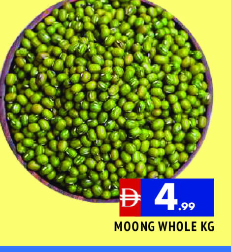 available at المدينة in الإمارات العربية المتحدة , الامارات - الشارقة / عجمان